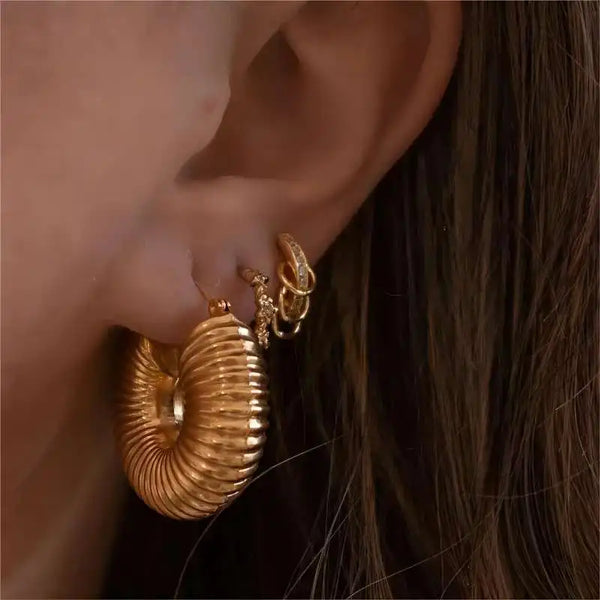 Glossy Stainless Steel Chunky Hoop Earrings